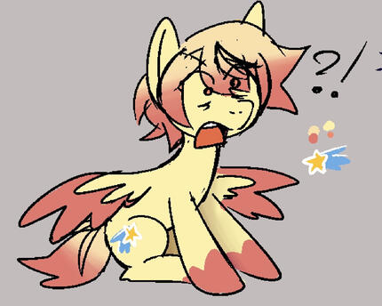 pony kasa